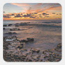 Search for caribbean island stickers Coral