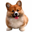 Search for corgi decor Animals