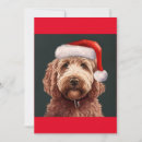 Search for labradoodle cards Cute dog