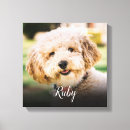 Search for pet portraits Unique