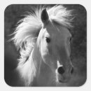 Search for black horse stickers Western