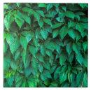 Search for leaf texture tiles Background
