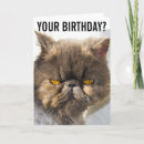 Search for funny cat birthday cards Grumpy