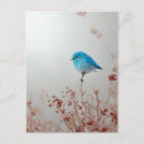 Search for bird postcards Flower