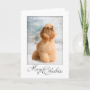 Search for cocker spaniel christmas cards Pet