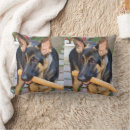Search for german shepherd pillows Pets