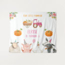 Search for fall backdrops Pumpkin