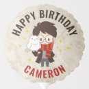 Search for harry potter birthday decor Hedwig