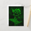 Search for with sunflower sympathy cards Green