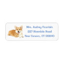 Search for corgi return address labels Puppy