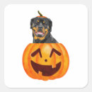 Search for dog treat stickers Witch