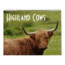 Search for highland cow office supplies Livestock
