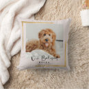 Search for pet loss pillows In loving memory