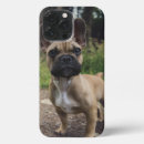 Search for french bulldog iphone cases Cute dog