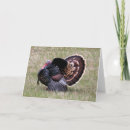 Search for turkey holiday cards autumn