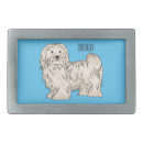 Search for havanese dog Pet