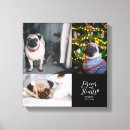 Search for pet memorials Photo collage