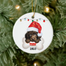 Search for poodle ornaments Puppy