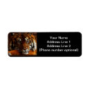 Search for cat return address labels Orange