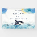 Search for orca whale Birthday