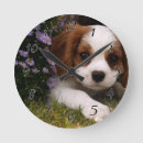 Search for cavalier king charles spaniel art Puppies