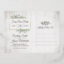 Search for cotton boll Eucalyptus leaves