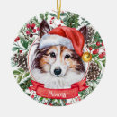 Search for sheltie ornaments Watercolor