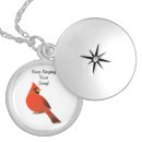 Search for cardinal necklaces Wildlife