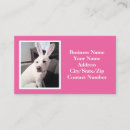 Search for easter business cards Rabbit