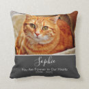 Search for cat pillows In loving memory
