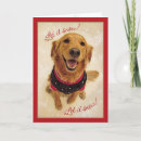 Search for golden retriever christmas cards Snow
