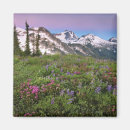Search for north cascades magnets Usa