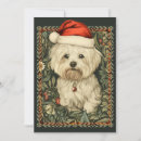 Search for bichon frise christmas cards Maltese