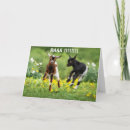 Search for 40th husband birthday cards Friend