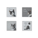 Search for black cat magnets White