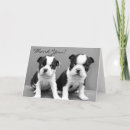 Search for puppy thank you cards Terrier