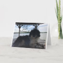 Search for shih tzu birthday cards Co worker