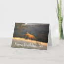 Search for fox birthday cards Happy