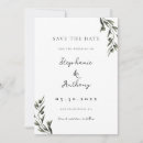 Search for olive branch save the dates Botanical
