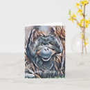 Search for monkey jokes cards Wildlife
