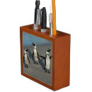 Search for penguin desk accessories Animal wildlife