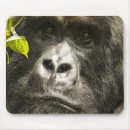 Search for gorilla mousepads Rwanda