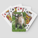 Search for goat playing cards Farm