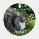Search for squirrel ornaments Wildlife