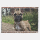 Search for french bulldog blankets Cute dog