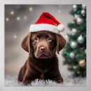 Search for labrador posters Cute