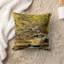 Search for great smoky mountains national park pillows forest