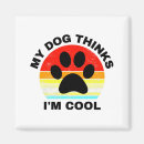 Search for cool magnets Dog