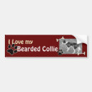 Search for bearded collie Pets