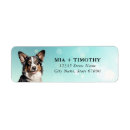 Search for corgi return address labels Dog